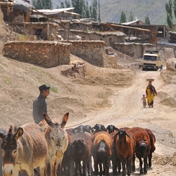 a roadside village of Yaghnob valley