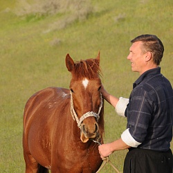 Horse, Aydarkul
