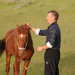 Horse, Aydarkul