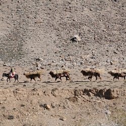 a typical scene across the river in Afghanistan