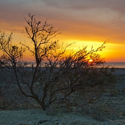 Aral Sea Sunset