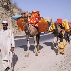 marriage caravan with dowry in Khyber Pass