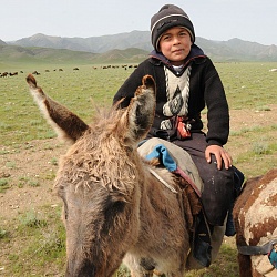 A boy on the donkey, Aydarkul